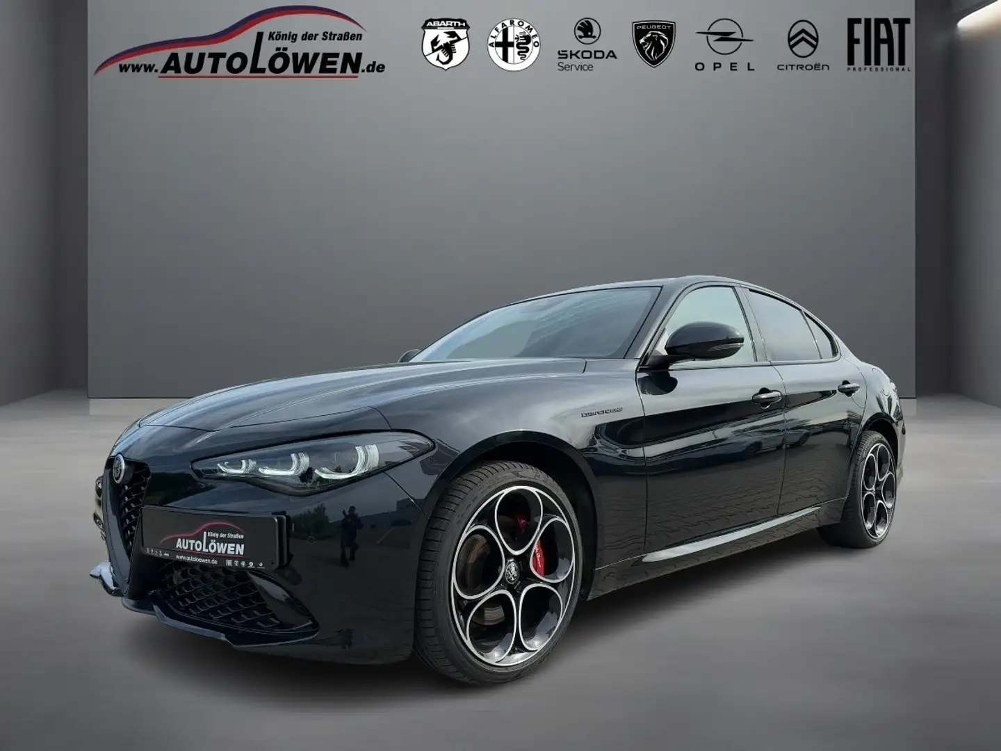 Alfa Romeo Giulia 2.0 Turbo 16V Competizione Q4 (EURO 6d) Noir - 1