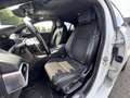 Jaguar XE R-Sport*BI-XENON*NAVI*MERIDIAN*SPUR*ACC* Blanc - thumbnail 17
