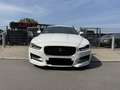 Jaguar XE R-Sport*BI-XENON*NAVI*MERIDIAN*SPUR*ACC* Blanc - thumbnail 3