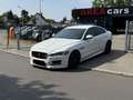 Jaguar XE R-Sport*BI-XENON*NAVI*MERIDIAN*SPUR*ACC* Blanc - thumbnail 2
