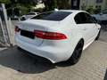 Jaguar XE R-Sport*BI-XENON*NAVI*MERIDIAN*SPUR*ACC* Blanc - thumbnail 7