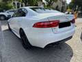 Jaguar XE R-Sport*BI-XENON*NAVI*MERIDIAN*SPUR*ACC* Blanc - thumbnail 9