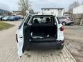 Ford EcoSport 1.0 EcoBoost TREND TOP ZUSTAND Wit - thumbnail 15