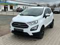 Ford EcoSport 1.0 EcoBoost TREND TOP ZUSTAND White - thumbnail 1