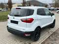 Ford EcoSport 1.0 EcoBoost TREND TOP ZUSTAND Blanco - thumbnail 4