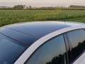 Volkswagen Polo GTI 2.0 TSI Pano | Clima | Cruise | Stoelverw. | 17 IN Blanc - thumbnail 14