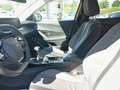 Peugeot 2008 BlueHDi 110 Allure Pack S/S Orange - thumbnail 10