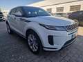Land Rover Range Rover Evoque 2.0D I4 MHEV SE AWD Aut. 163 Blanco - thumbnail 1