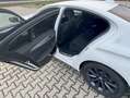 BMW 525 5er Diesel 525d Aut. Weiß - thumbnail 10