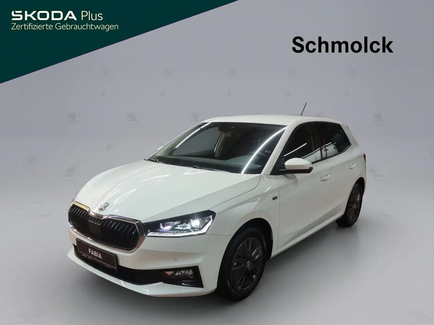 Skoda Fabia Drive 1.0 MPI 80 PS CLIMATRONIC LED PDC Weiß - 1