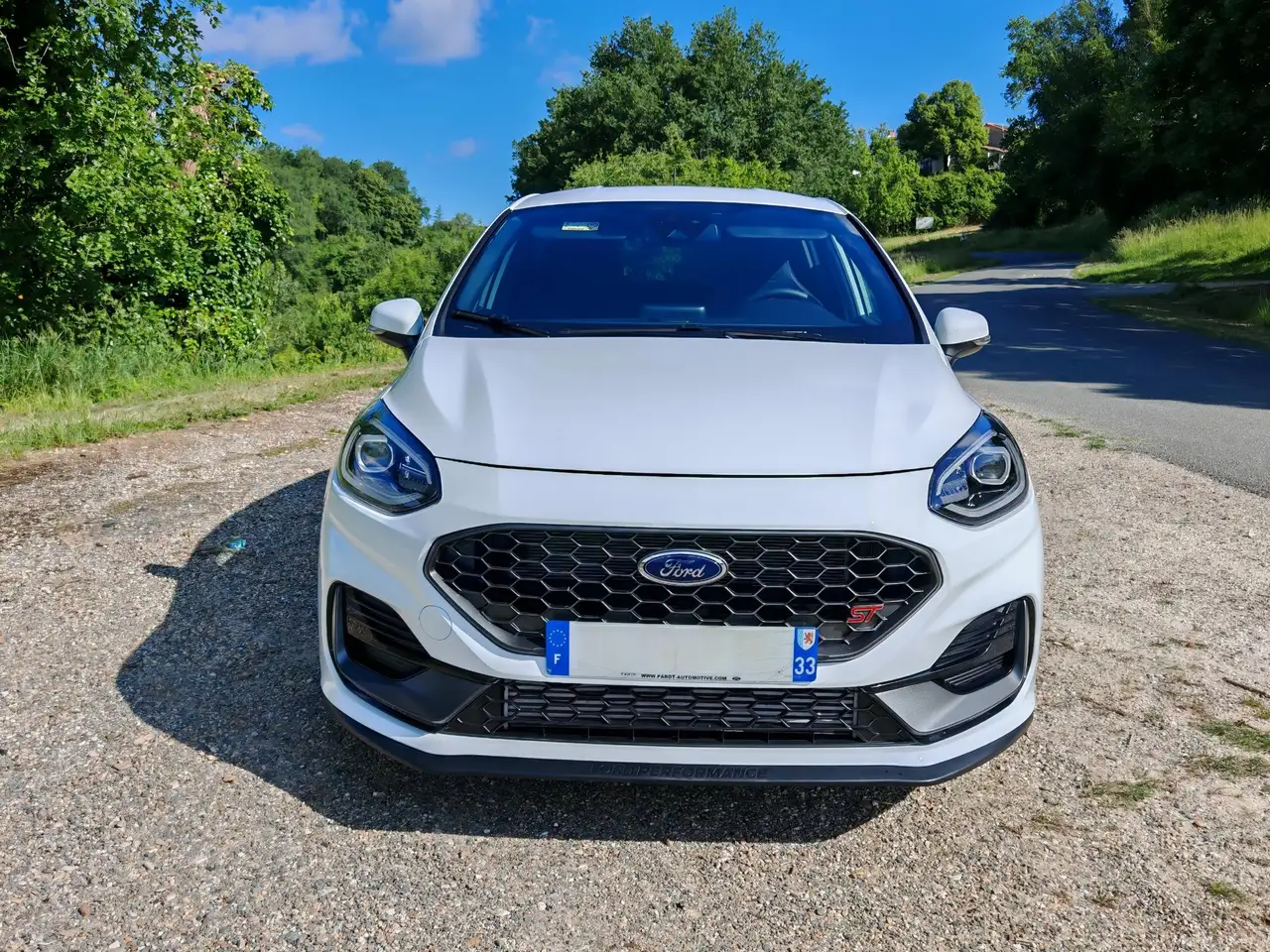 Ford Fiesta ST — photo 18