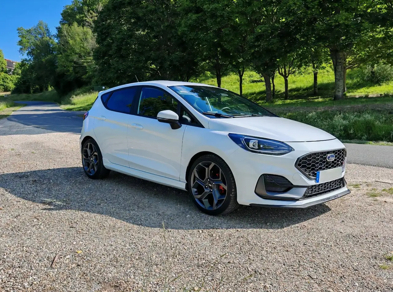 Ford Fiesta ST — photo 6