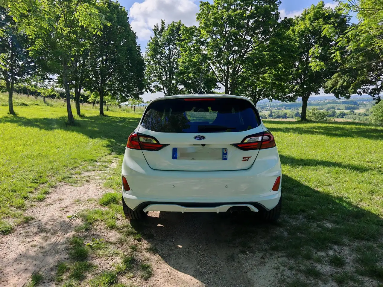 Ford Fiesta ST — photo 5