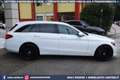 Mercedes-Benz C 250 250 d SW 4MATIC Aut Executive TETTO GANCIO Bianco - thumbnail 5