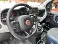 Fiat Panda Panda III 2021 1.0 firefly hybrid City Cross s - thumbnail 3