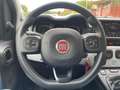 Fiat Panda Panda III 2021 1.0 firefly hybrid City Cross s - thumbnail 4