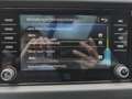 Skoda Kodiaq 4x4 Style TDI SCR DSG Blau - thumbnail 31