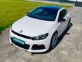 Volkswagen Scirocco 2.0 TSI 265cv DSG R Blanco - thumbnail 2