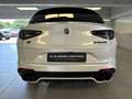 Alfa Romeo Stelvio 2.9 V6 510CV Quadrifoglio AT8 Q4 Weiß - thumbnail 4