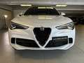 Alfa Romeo Stelvio 2.9 V6 510CV Quadrifoglio AT8 Q4 Weiß - thumbnail 6