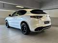 Alfa Romeo Stelvio 2.9 V6 510CV Quadrifoglio AT8 Q4 Weiß - thumbnail 3