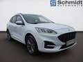 Ford Kuga 2,0 EcoBlue AWD ST-Line Aut. Blanco - thumbnail 5