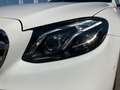 Mercedes-Benz 220 TE  D 4MATIC PTS Cam SHZ EASY-PACK Weiß - thumbnail 14