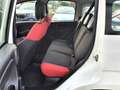 Fiat Panda 🟢1.2 ESSENCE 69CV - 5 PORTES Weiß - thumbnail 10