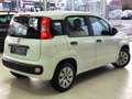 Fiat Panda 🟢1.2 ESSENCE 69CV - 5 PORTES Weiß - thumbnail 4
