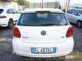 Volkswagen Polo 1.2 5 porte Highline Bianco - thumbnail 4