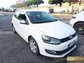 Volkswagen Polo 1.2 5 porte Highline Bianco - thumbnail 6