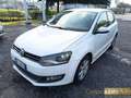 Volkswagen Polo 1.2 5 porte Highline Bianco - thumbnail 2