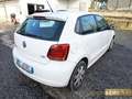 Volkswagen Polo 1.2 5 porte Highline Bianco - thumbnail 5