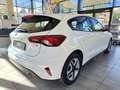 Ford Focus Lim.*Automatik*bis zu 10J Garantie Blanc - thumbnail 7