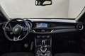 Alfa Romeo Stelvio ALFA ROMEO Stelvio 2.2 Turbodiesel 160 CV AT8 RWD Rosso - thumbnail 14
