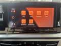 Volkswagen T7 Multivan 2.0 Tdi-DSG Edition,AHK,Standheiz., Grau - thumbnail 16
