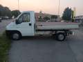 Citroen Jumper cassonato cc2.2 HDI - thumbnail 3