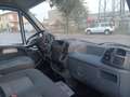 Citroen Jumper cassonato cc2.2 HDI - thumbnail 7