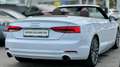 Audi A5 Cabrio 2,0 TFSI *Viele-Extras +Servicegepflegt De Weiß - thumbnail 30