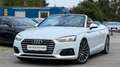 Audi A5 Cabrio 2,0 TFSI *Viele-Extras +Servicegepflegt De Weiß - thumbnail 28