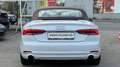 Audi A5 Cabrio 2,0 TFSI *Viele-Extras +Servicegepflegt De Weiß - thumbnail 5