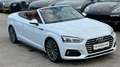 Audi A5 Cabrio 2,0 TFSI *Viele-Extras +Servicegepflegt De Weiß - thumbnail 33