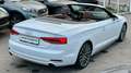 Audi A5 Cabrio 2,0 TFSI *Viele-Extras +Servicegepflegt De Weiß - thumbnail 34