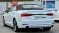 Audi A5 Cabrio 2,0 TFSI *Viele-Extras +Servicegepflegt De Weiß - thumbnail 6