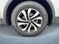 Volkswagen Tiguan Active 1.5 TSI DSG StHz/HuD/360/Nav/LED/A Silber - thumbnail 10