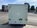 Piaggio Porter LPG TW300 long range Top FURGONE SANDWICH 30MM Weiß - thumbnail 4