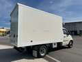 Piaggio Porter LPG TW300 long range Top FURGONE SANDWICH 30MM Weiß - thumbnail 3