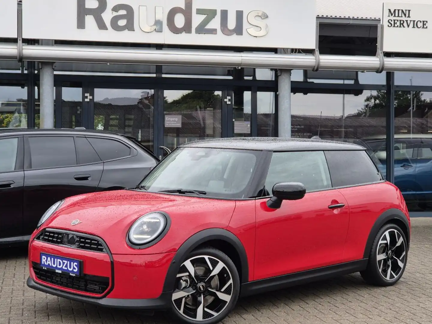 MINI Cooper C Classic Trim Rot - 1