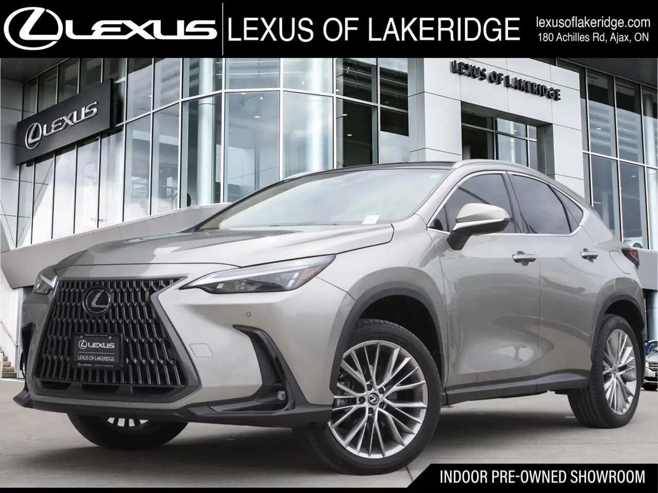 2024 Lexus NX photo 2024 Lexus NX