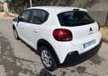 Citroen C3 1.6BlueHDi S&S Business 75 Blanco - thumbnail 3
